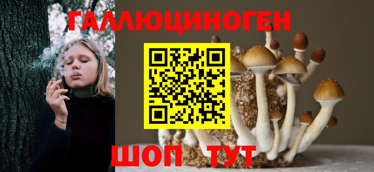 Галлюциногенные грибы Magic Shrooms Гусь-Хрустальный