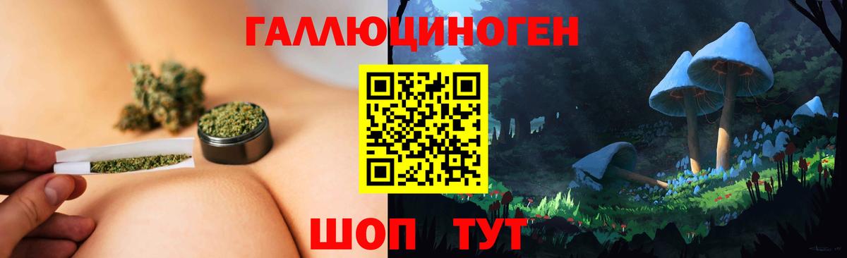 Гусь-Хрустальный  Галлюциногенные грибы Psilocybine cubensis  Вход с VPN 
